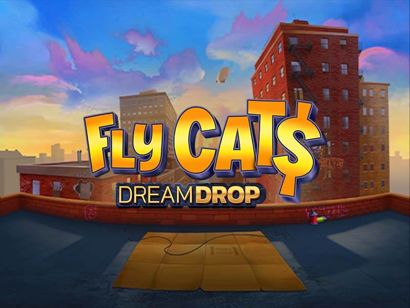 Avatar do Jogador para Fly Cats Dream Drop